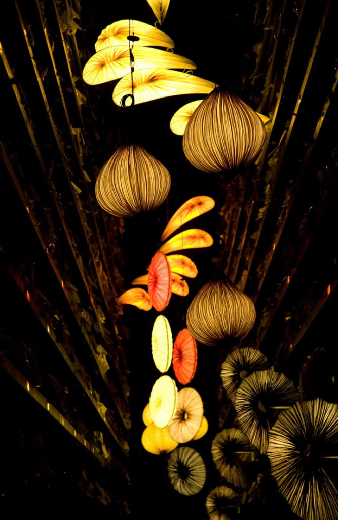 AQUA CREATIONS AQUA CREATIONS