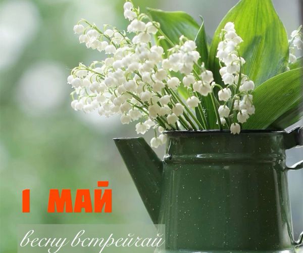 График работы Интерьерного салона в праздники