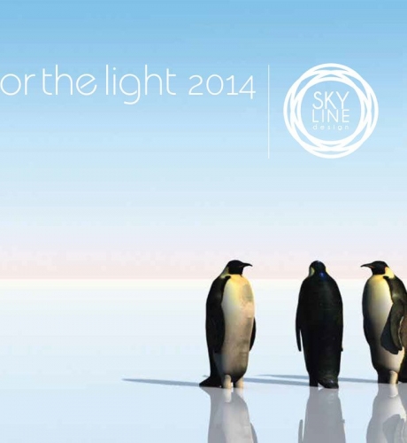 Skyline For The Light 2014