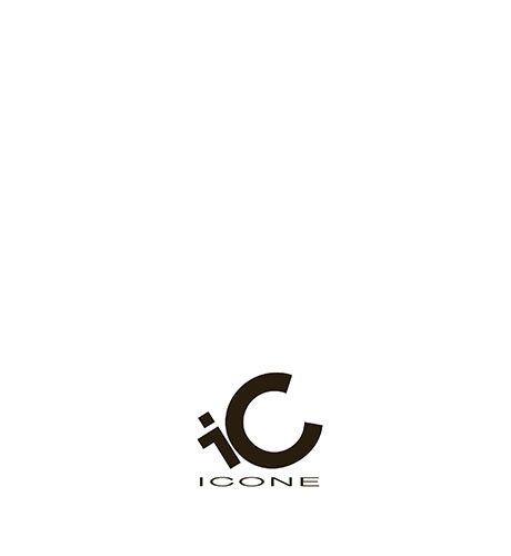 ICONE catalogo 2022