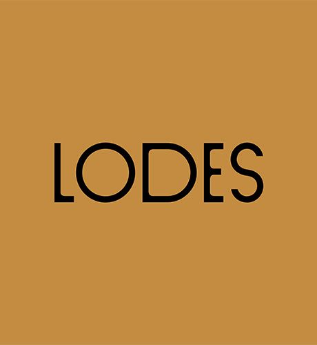 LODES Company Profile 2022